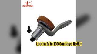 119532 Ролик для разбрасывателя Lectra Brio 100